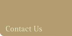 Our Services